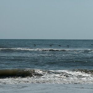 Meet your Posher, Jacky